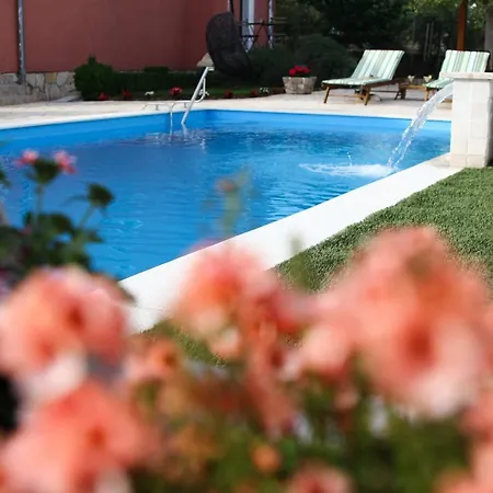House With A Pool Eva Vila *